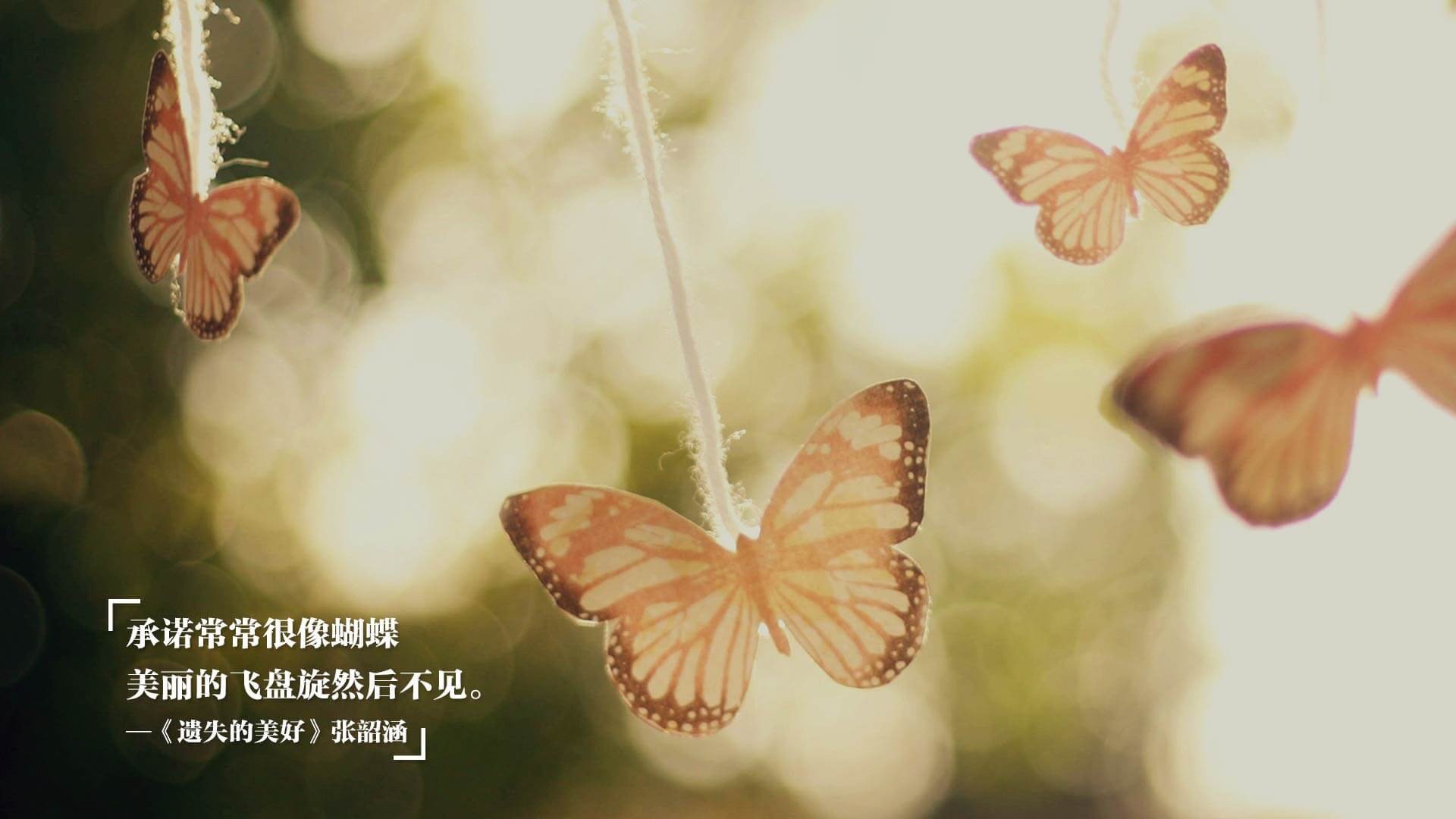 文班亚马闪电战，一场天赋的突袭如何击碎勇士的黄昏