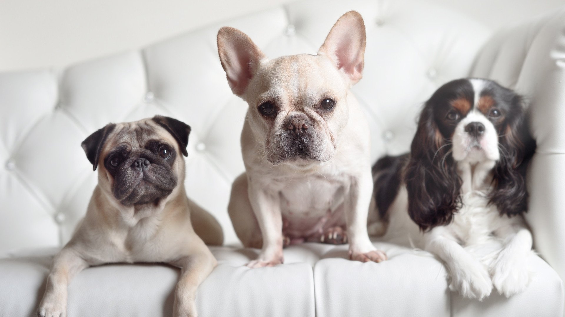 篮球跨界奇袭，新西兰末节战术解锁足球密码，福登虚拟主宰双城记