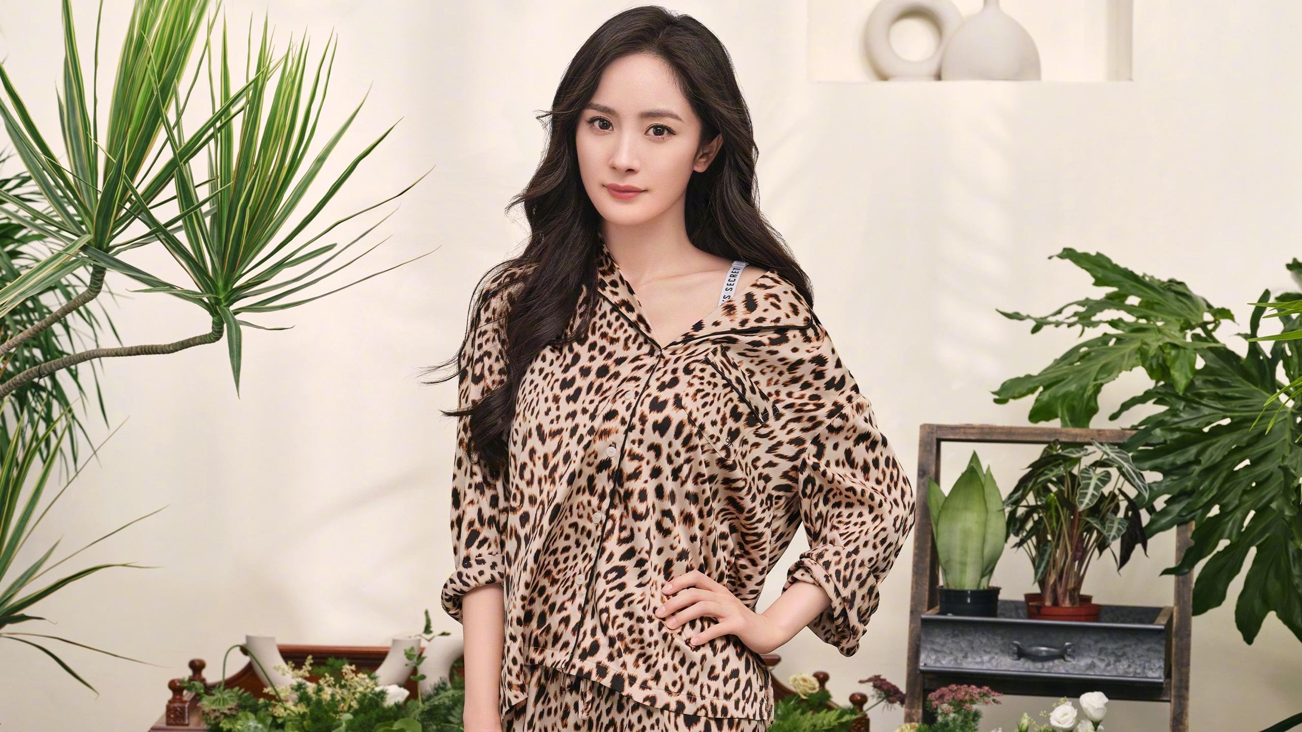 防守艺术的极致展现,独行侠铁血体系冻僵新疆飞虎