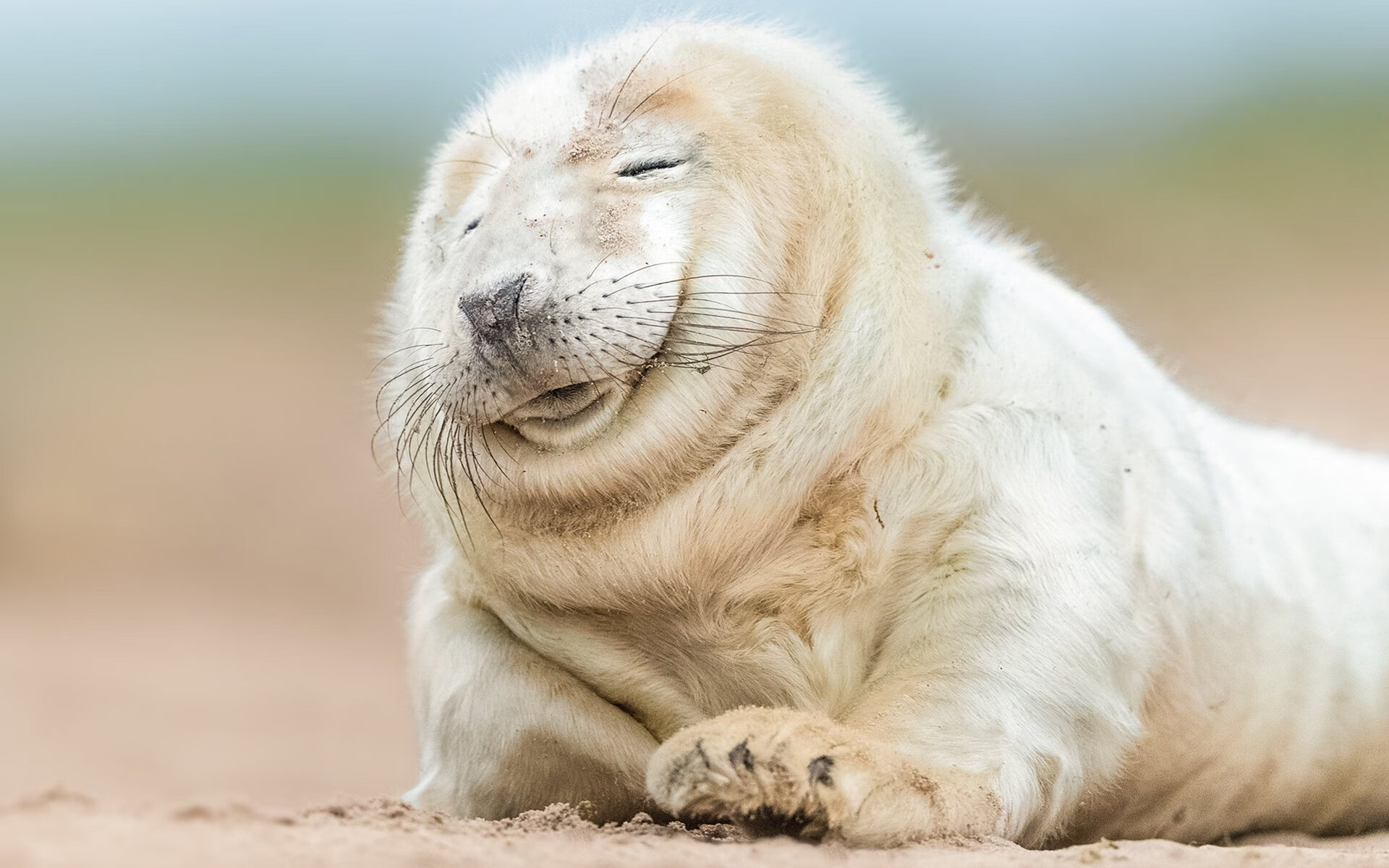 潮水褪去方见真金，阿拉巴导演，加拿大奏响逆转交响乐