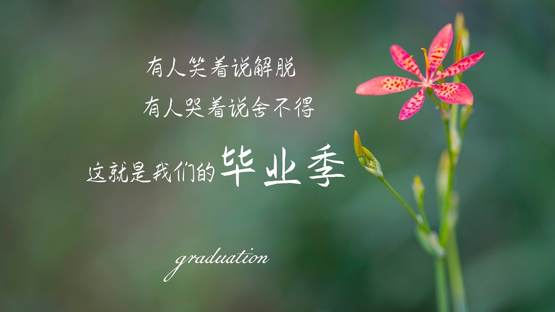 篮球场上的世界杯焦点战,山西队如何击穿广厦队防线