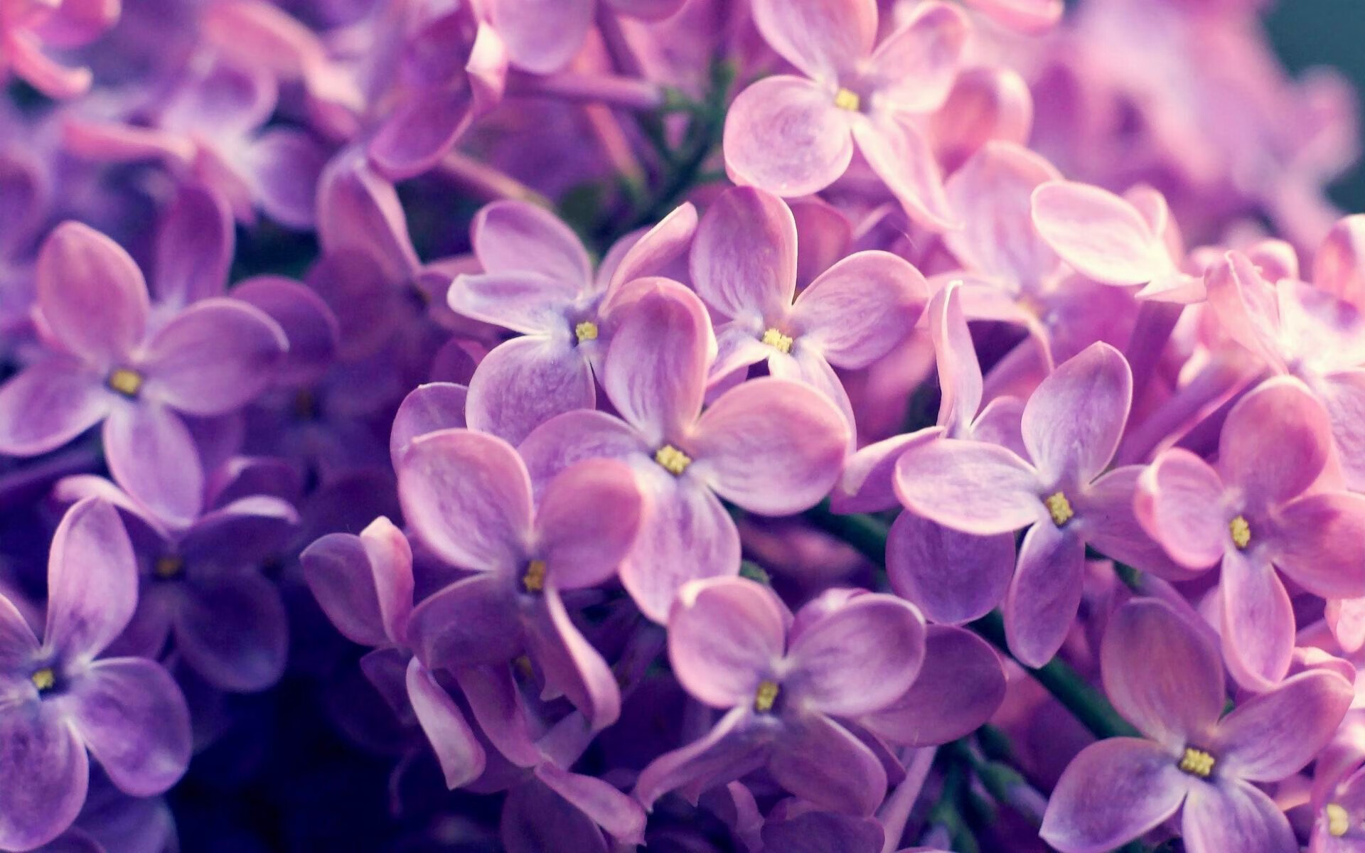 欧冠半决赛死刑的提前宣判,帕尔默三分钟击碎悬念