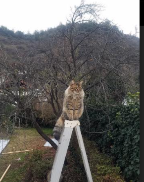 光与暗的临界点