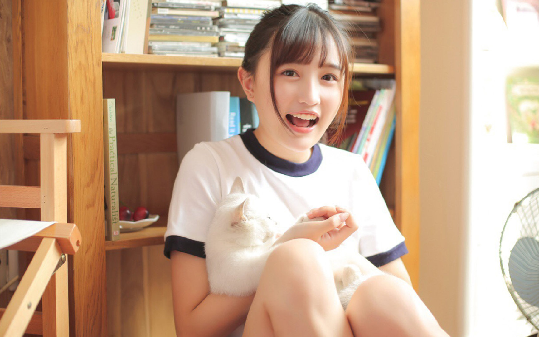 枫叶与沙漠，当世界杯赛场成为文明冲突的镜像—记伊布神祇降临美加之夜