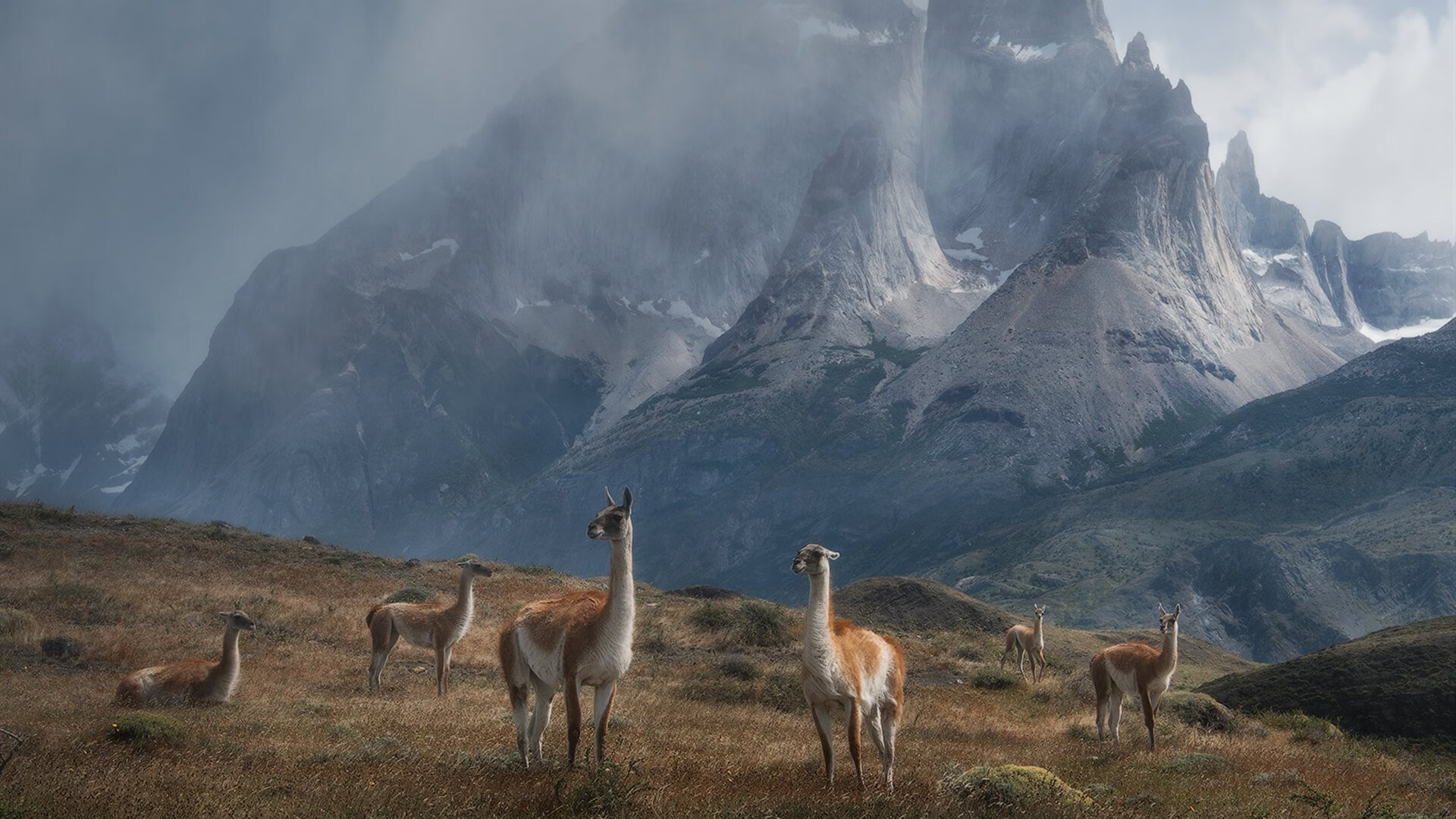 迟来破茧，方见极光，保罗的终章序曲