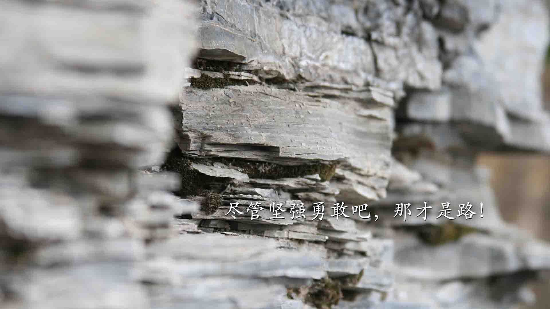 特奥绝杀定乾坤！新西兰苦战力克卡塔尔，出线曙光重现