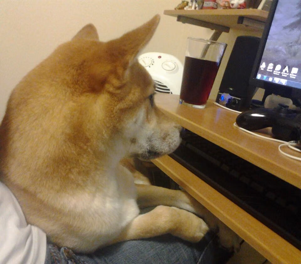 无声处听惊雷，迪马利亚的致命寒光与巴萨的秩序牢笼