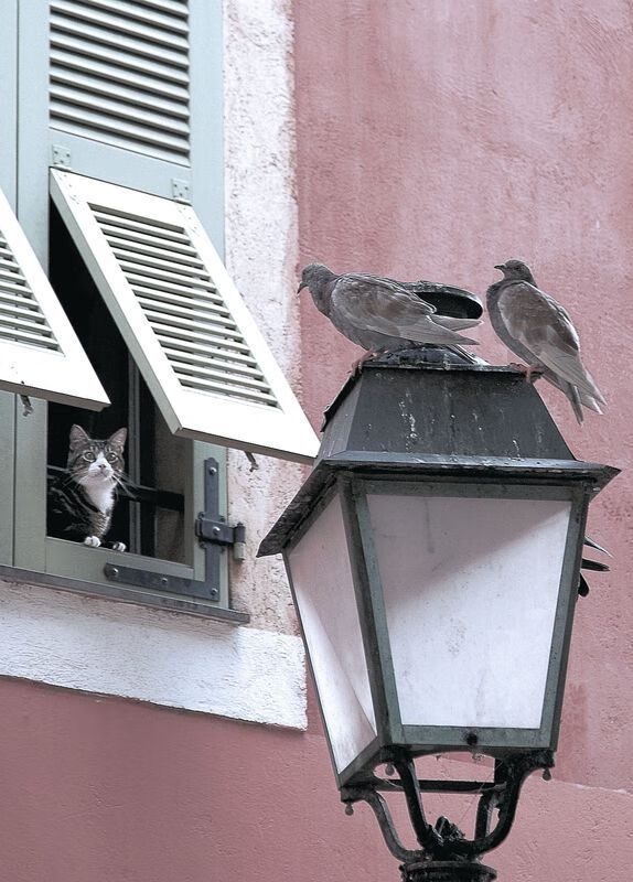 单节风暴，尼克斯化身利拉德时间，新疆队防线五分钟内崩溃