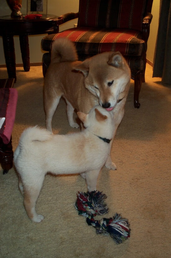 内马尔独造三球！莱比锡红牛奥地利主场饮恨，巴黎捧起红牛德比杯