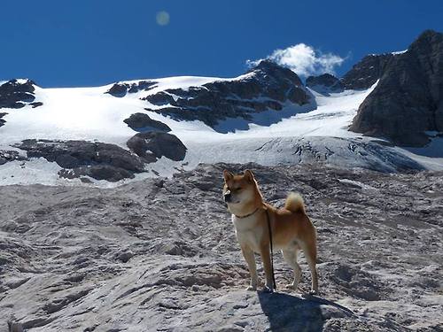 主场红烟与维京战吼，当佩雷兹在墨西哥城斩落维斯塔潘的冰岛式防线