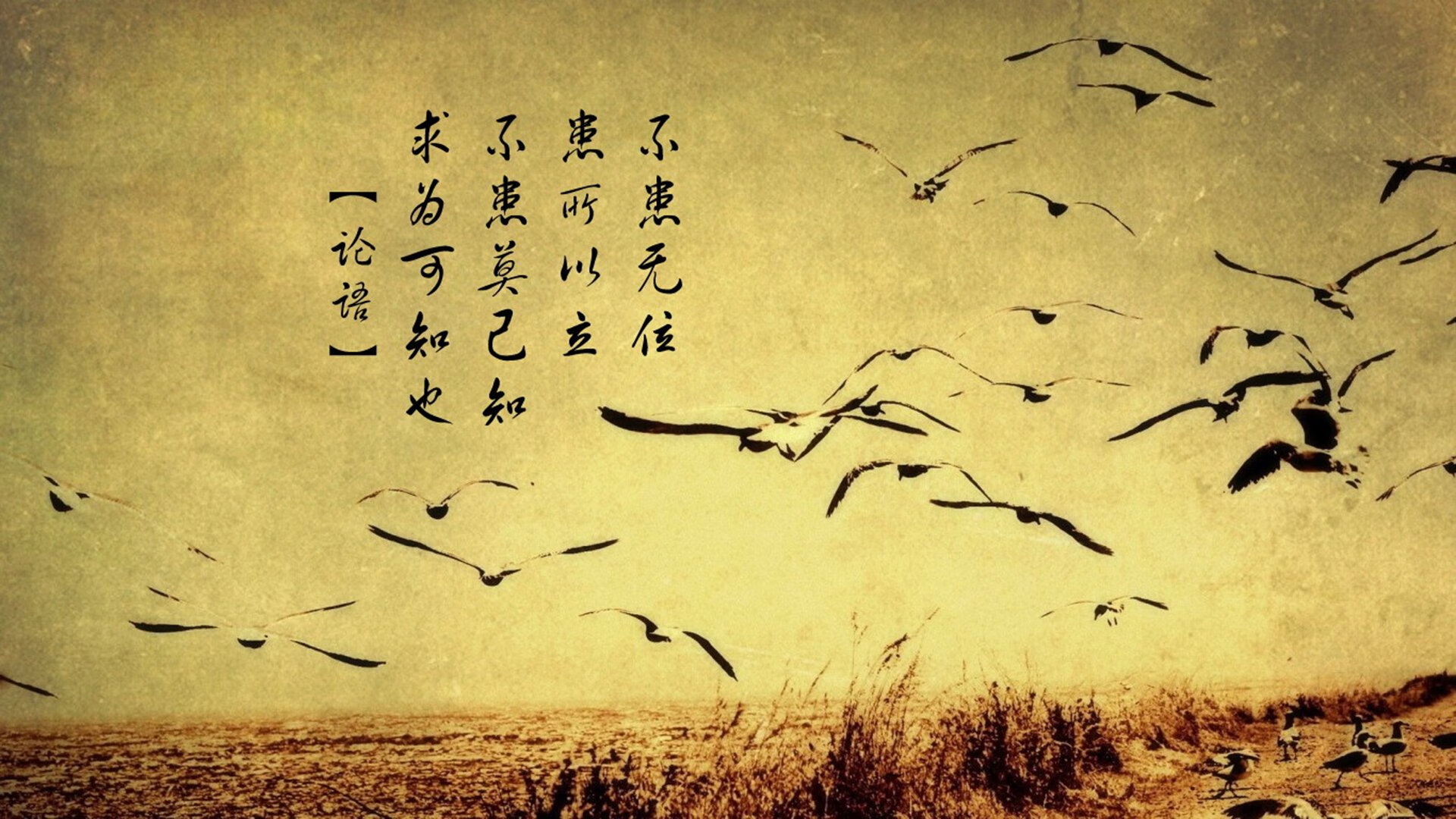 奥运周期关键战，魔术强行终结辽宁队焦点战纪实