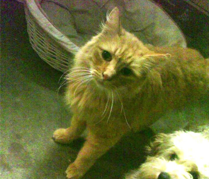 首先,为您呈上一个扩展思维后的文章标题