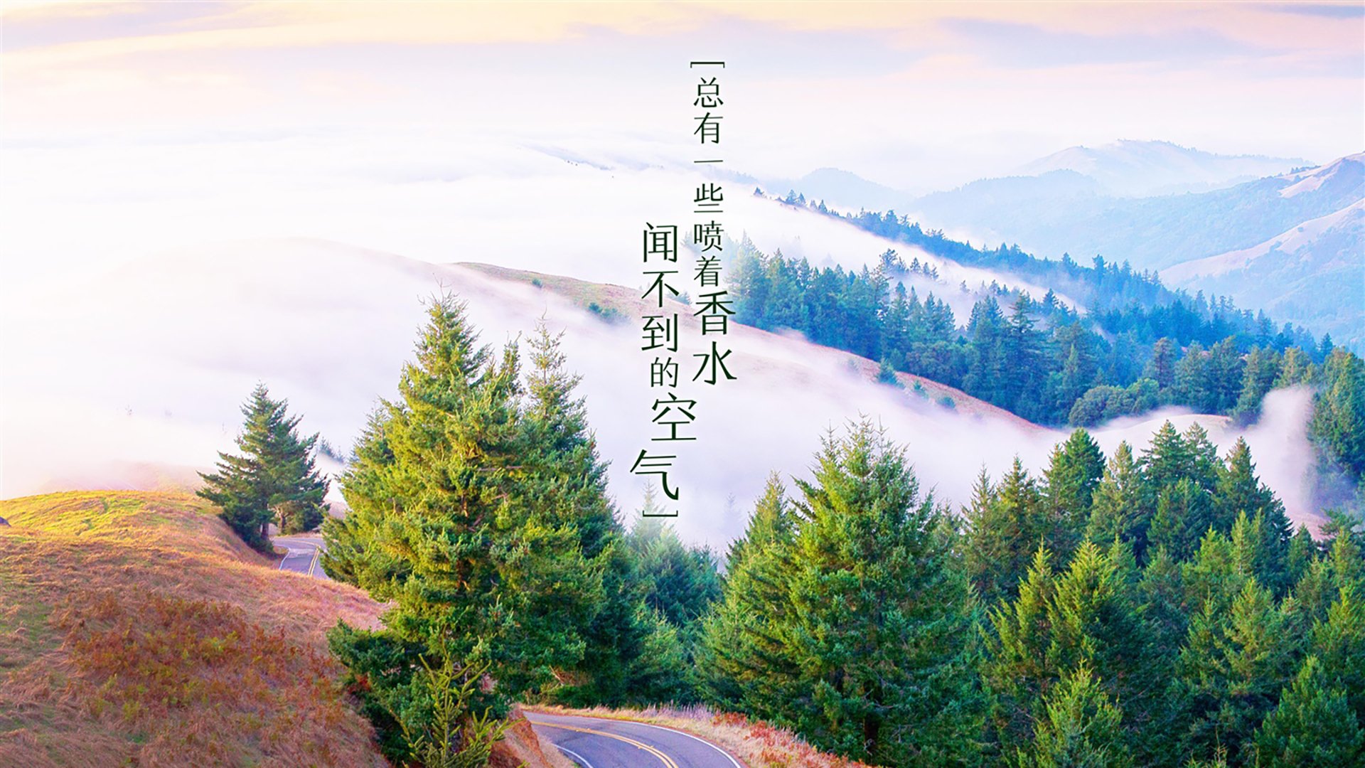 这是一篇为您定制的文章，围绕唯一性的核心要求，结合您提供的关键词进行深度创作