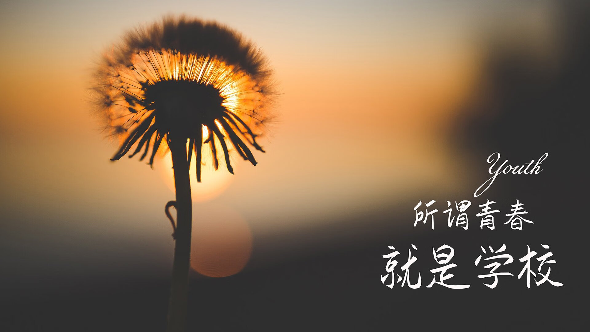 攻守交响诗,当斗魂烈焰遇上传控流水—2026世界杯B组葡萄牙力克日本,福登铸就王者时刻